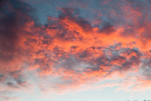 Meet your Posher, Beyonce